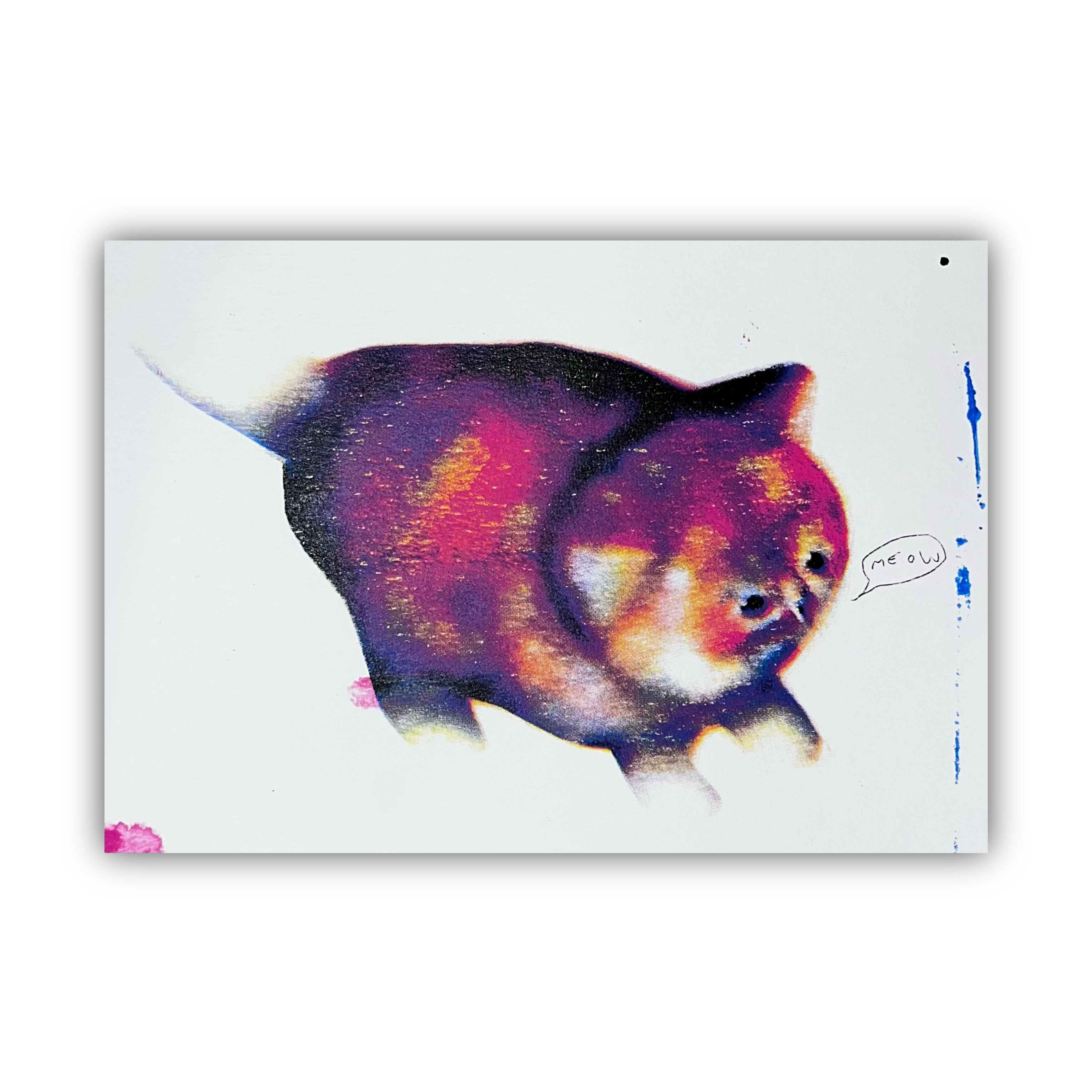 felicijax x pati.sgc1ub, chubby awkward cat screen print