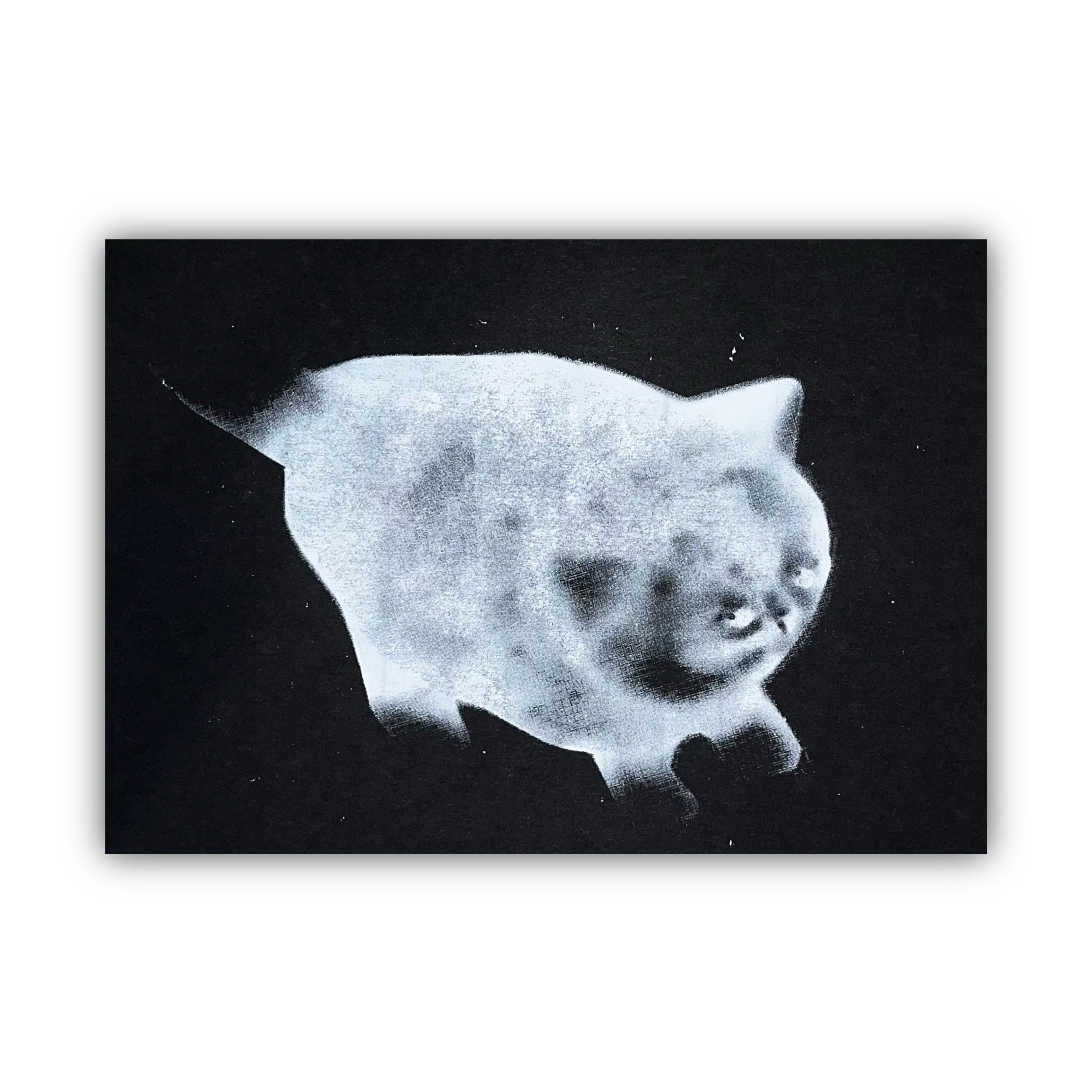 felicijax x pati.sgc1ub, chubby awkward cat screen print