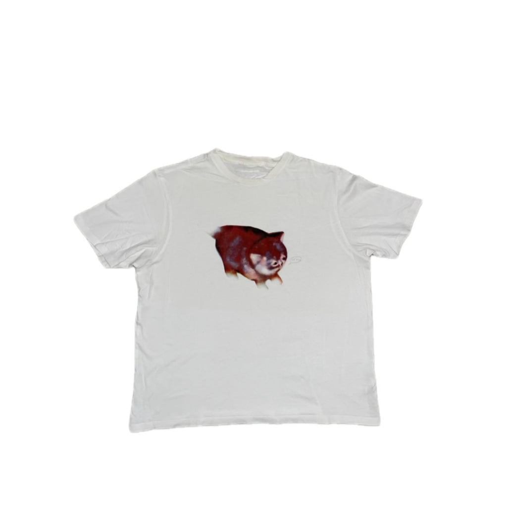 felicijax x pati.sgc1ub, chubby awkward cat screen print T Shirt