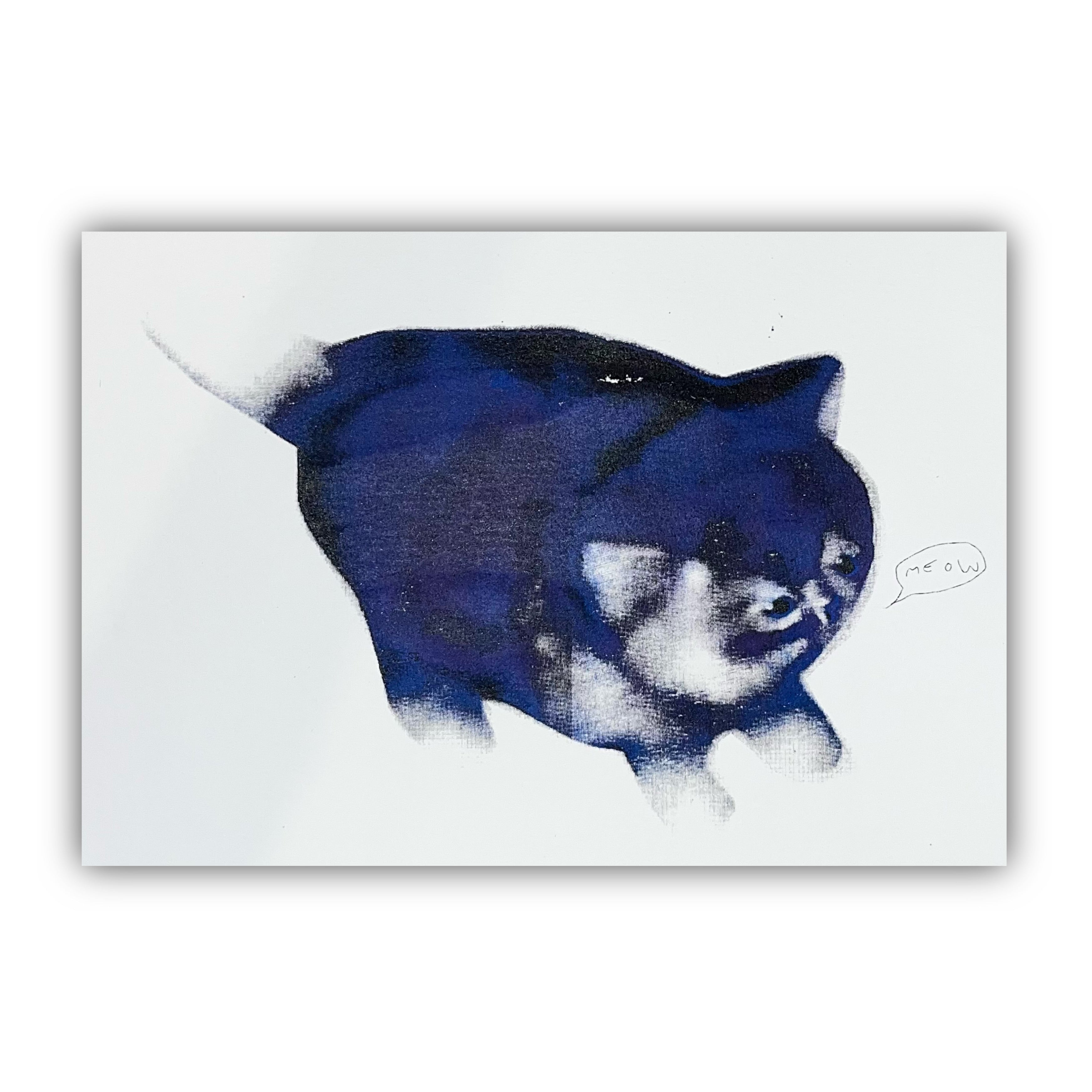 felicijax x pati.sgc1ub, chubby awkward cat screen print