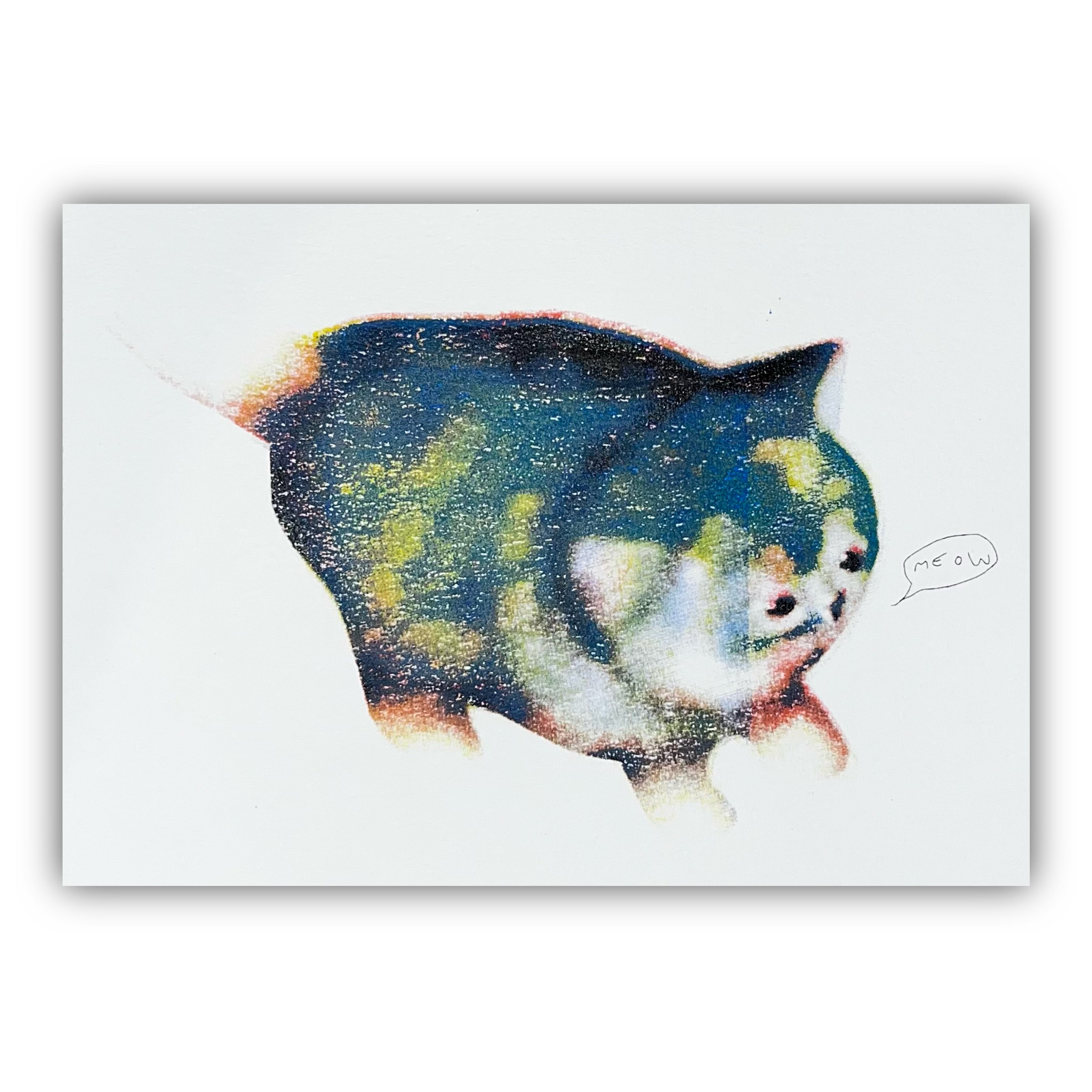 felicijax x pati.sgc1ub, chubby awkward cat screen print